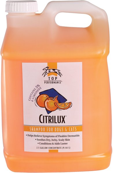 Top Performance Citrilux Dog & Cat Shampoo, 2.5-gal bottle slide 1 of 1