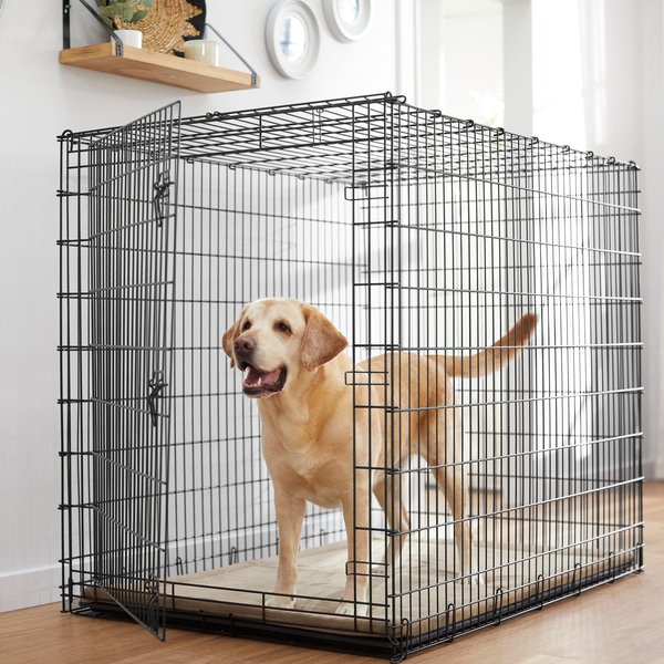 Frisco XX-Large Heavy Duty Single Door Wire Dog Crate, 54 inch slide 1 of 9
