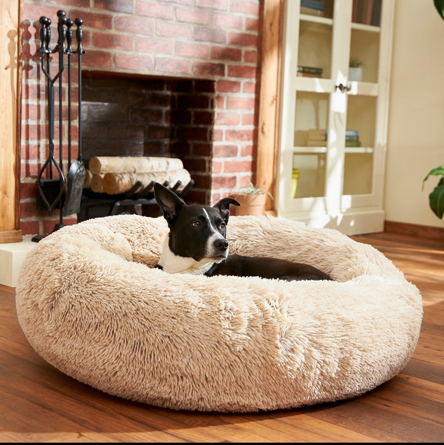 FRISCO Eyelash Cat & Dog Bolster Bed, Large, Sand