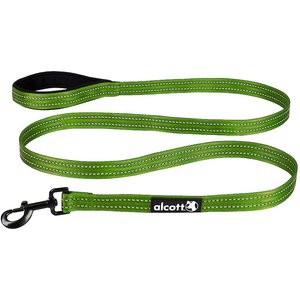 Alcott Adventure Polyester Reflective Dog Leash, Green, Large: 6-ft long, 1-in wide
