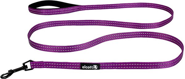 Alcott Adventure Polyester Reflective Dog Leash, Purple, Small: 6-ft long, 5/8-in wide slide 1 of 1