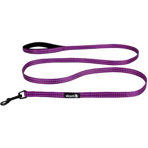 Alcott Adventure Polyester Reflective Dog Leash, Purple, Small: 6-ft long, 5/8-in wide