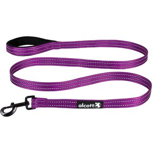 Alcott Adventure Polyester Reflective Dog Leash, Purple, Large: 6-ft long, 1-in wide