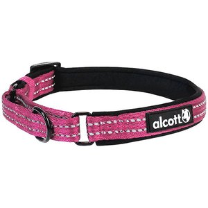 Alcott Polyester Reflective Martingale Dog Collar, Pink, Medium: 14 to 20-in neck