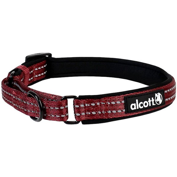 PETSAFE Quick Snap Buckle Nylon Martingale Dog Collar, Red, Medium 11 to 15in neck, 3/4in
