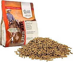 UltraCruz Appetite Support Pellets Horse Supplement, 4-lb bag