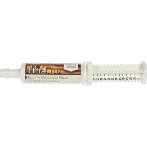 6666 Electrolyte Paste Horse Supplement, 2-oz tube