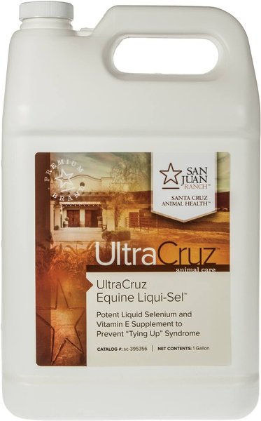 NEW - Cruz 30oz Clear Blending Bottle