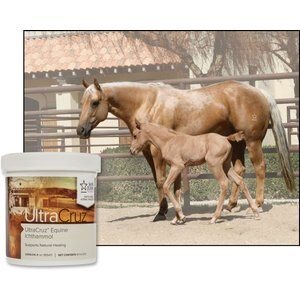 UltraCruz Ichthammol Skin Care Horse Ointment, 16-oz bottle