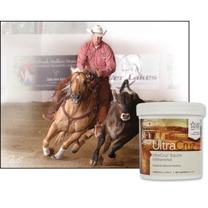 UltraCruz Ichthammol Skin Care Horse Ointment, 16-oz bottle