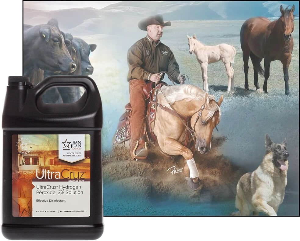 ULTRACRUZ Hydrogen Peroxide Horse Supplement, 1gal bottle