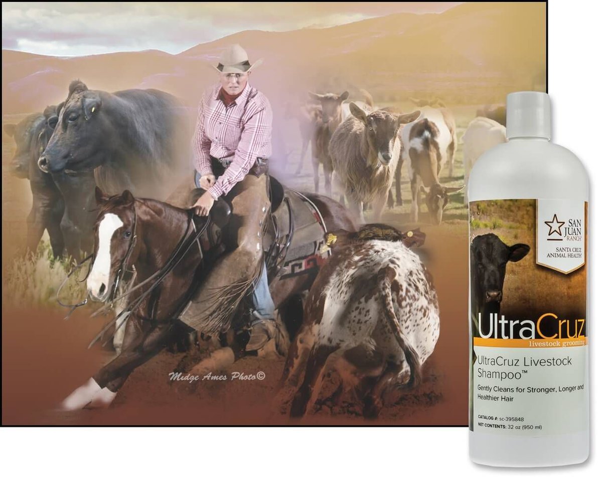 UltraCruz Livestock Shampoo