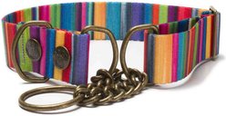 Merry Jane & Thor Kaleidoscope Polyester Martingale Dog Collar, Medium: 13 to 20-in neck, 1.25-in wide slide 1 of 6