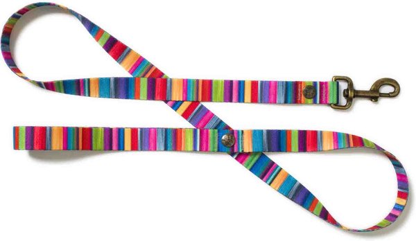 Merry Jane & Thor Kaleidoscope Polyester Dog Leash, Rainbow, Small: 5-ft long, 5/8-in wide slide 1 of 5