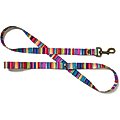 Merry Jane & Thor Kaleidoscope Polyester Dog Leash, Rainbow, Small: 5-ft long, 5/8-in wide