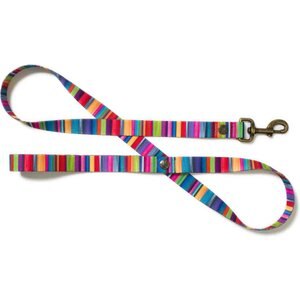 Merry Jane & Thor Kaleidoscope Polyester Dog Leash, Rainbow, Large: 5-ft long, 1-in wide