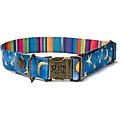Merry Jane & Thor Starry Night Polyester Dog Collar, Blue & Yellow, Large: 18 to 25-in neck, 1.25-in wide