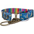 Merry Jane & Thor Starry Night Polyester Martingale Dog Collar, Blue & Yellow, Large: 18 to 25-in neck, 1.25-in wide