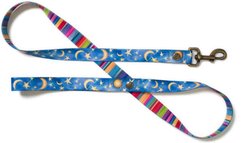 Merry Jane & Thor Starry Night Polyester Dog Leash, Blue & Yellow, Small: 5-ft long, 5/8-in wide