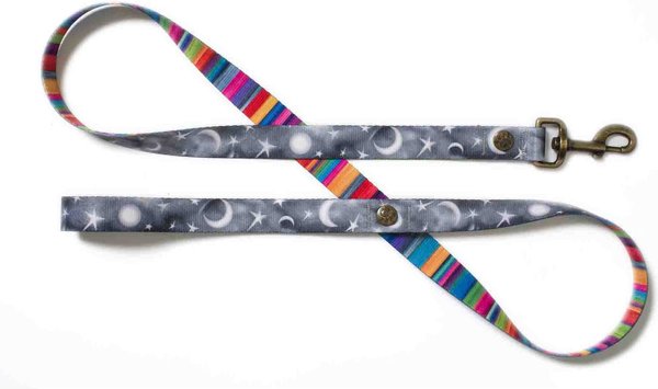 Merry Jane & Thor Starry Night Polyester Dog Leash, Silver & White, Large: 5-ft long, 1-in wide slide 1 of 6