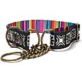 Merry Jane & Thor Tribeca Polyester Martingale Dog Collar, Large: 18 to 25-in neck, 1.25-in wide