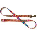 Merry Jane & Thor GangstaMutt Dogs Rule Polyester Dog Leash, Small: 5-ft long, 5/8-in wide