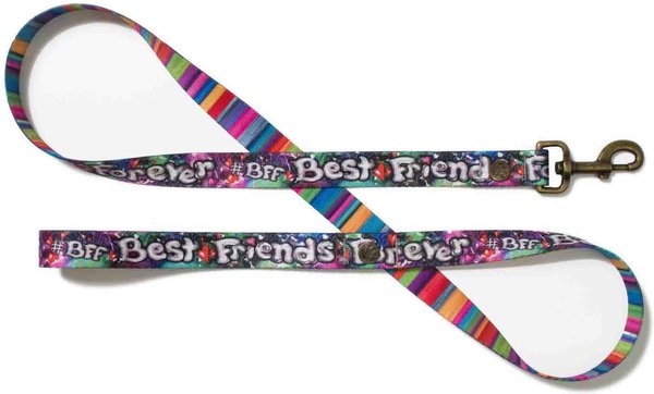 Merry Jane & Thor GangstaMutt Best Friends Forever Polyester Dog Leash, Small: 5-ft long, 5/8-in wide slide 1 of 5