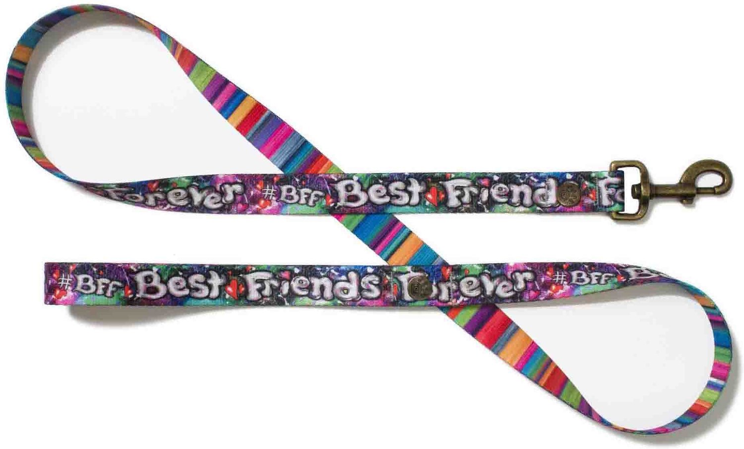 friends forever leash