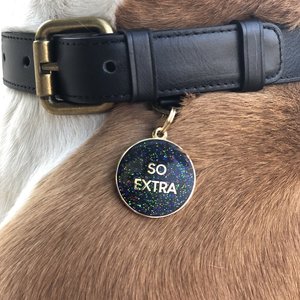 Two Tails Pet Company So Extra Personalized Dog & Cat ID Tag