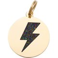 Two Tails Pet Company Lightning Bolt Personalized Dog & Cat ID Tag
