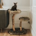 Mau Lifestyle Rizzo 32-in Modern Wooden Cat Tree, Brown