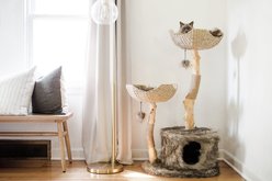 Mau Lifestyle Cento 46-in Modern Wooden Cat Tree & Condo, Brown slide 2 of 6