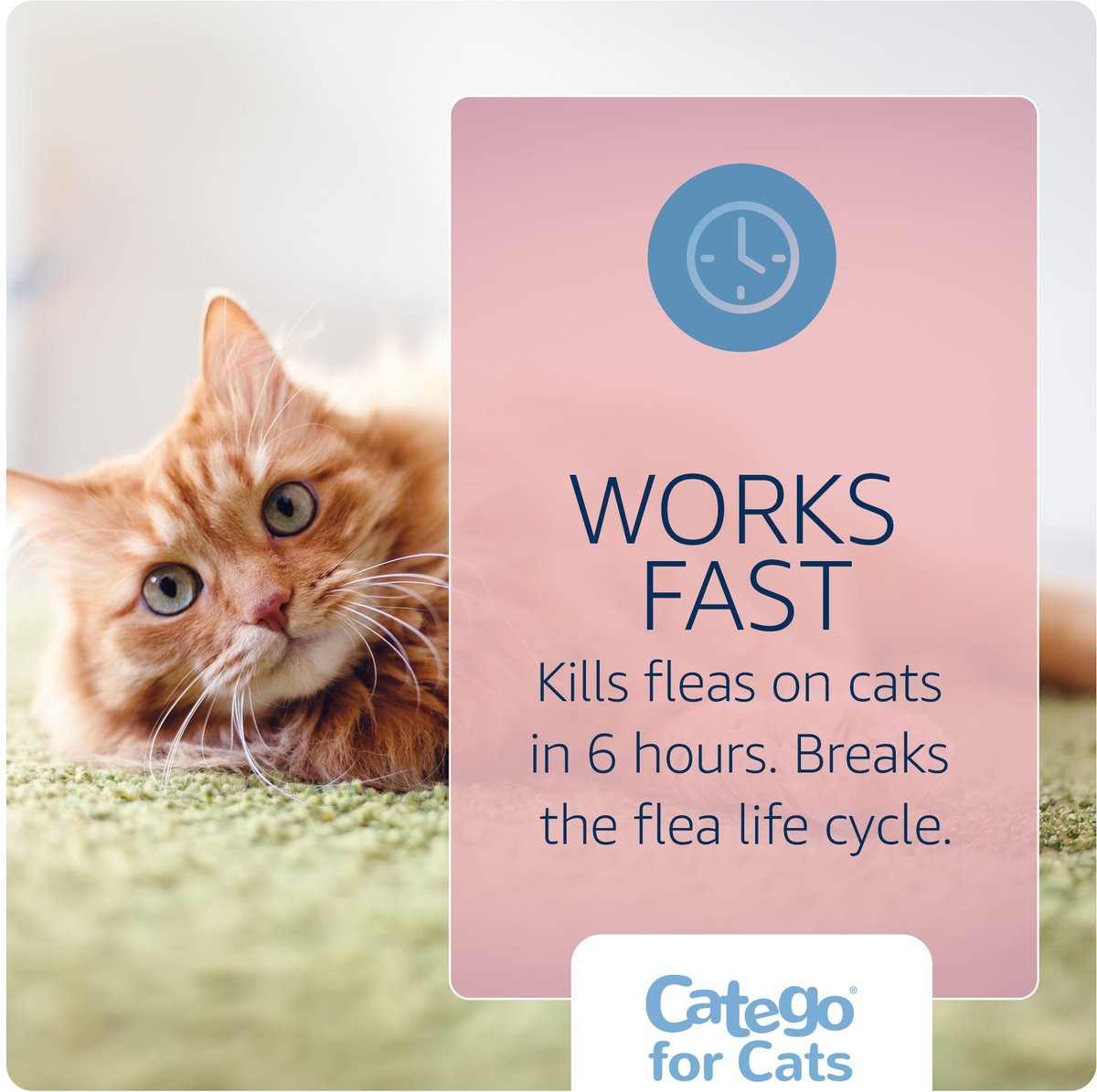 CATEGO Flea & Tick Spot Treatment for Cats, over 1.5 lbs, 6 Doses (6mos. supply)