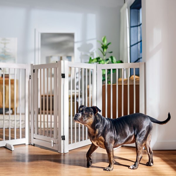 FRISCO Deluxe Configurable 4-Panel Wood Dog Gate,36-in, White - Chewy.com