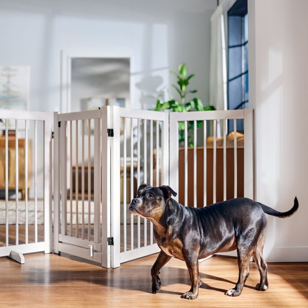 FRISCO Deluxe Configurable 4-Panel Wood Dog Gate,36-in, White - Chewy.com