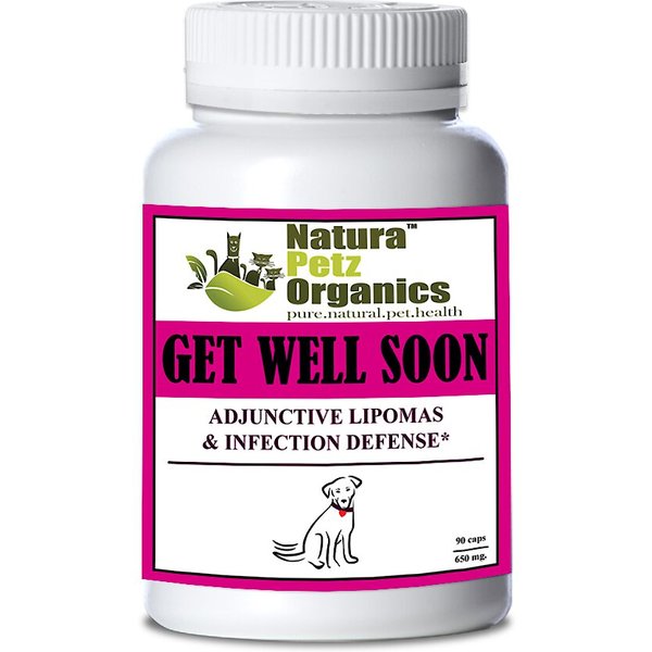 NATURA PETZ ORGANICS Get Well Soon Dog Supplement, 90 count 