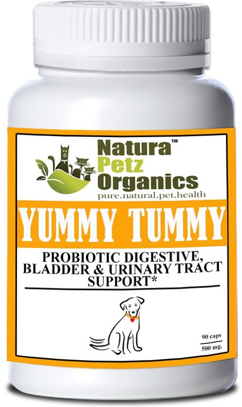 Natura Petz Organics Tummy Gladiator Dog Supplement, 90 count