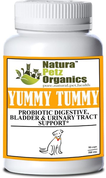 Natura Petz Organics Yummy Tummy Dog Supplement, 90 count slide 1 of 3