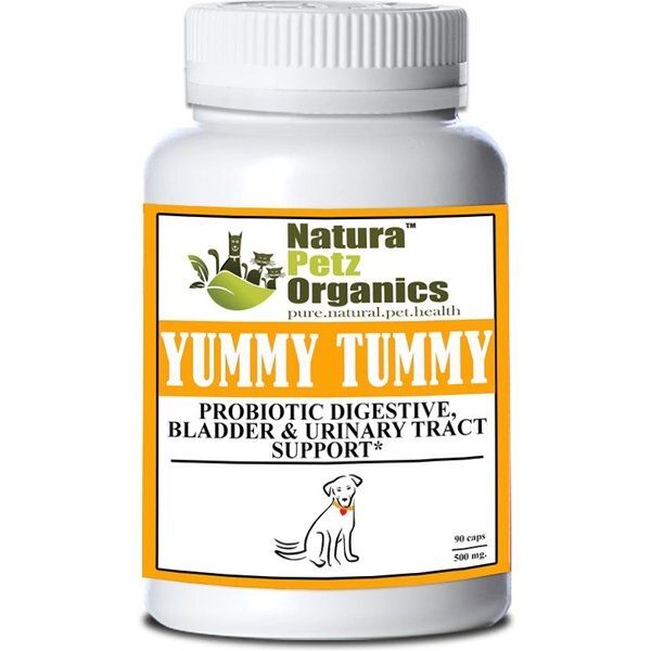 Plano Paws Tummy Treats Advanced Probiotic Natural Chicken Flavor Soft Chews Dog Supplement, 120 count