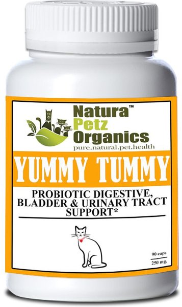 Natura Petz Organics Yummy Tummy Cat Supplement, 90 count