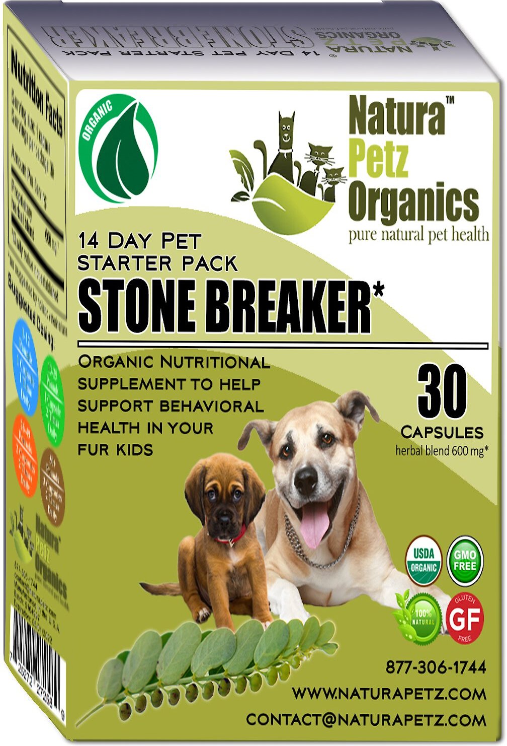 can dogs live with kidney stones