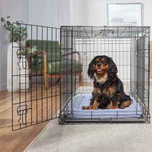Frisco Heavy Duty Fold & Carry Double Door Collapsible Wire Dog Crate & Mat Kit, Med/L: 36-in L x 25-in W 26-in H