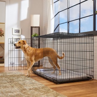 Xxl Dog Crate (Free Shipping) Chewy
