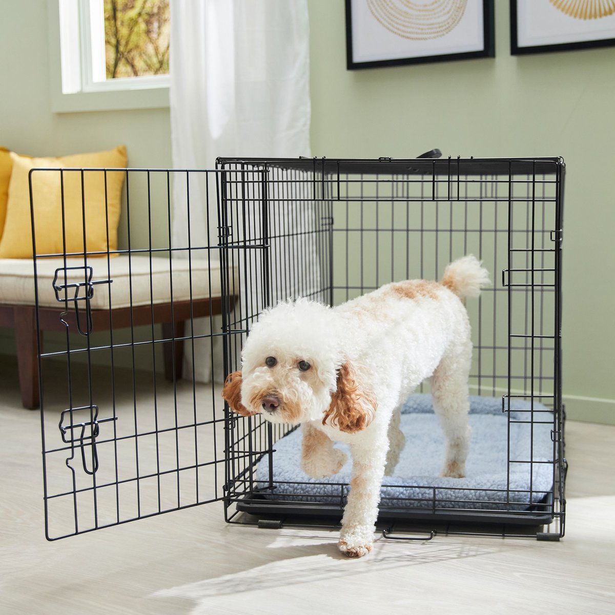 FRISCO Fold & Carry Single Door Collapsible Wire Dog Crate & Mat Kit,  Med/Large 