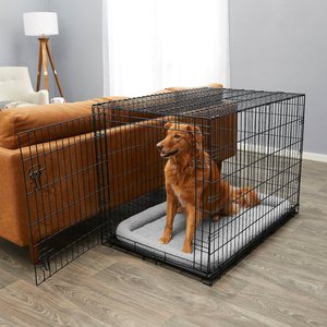 Frisco Fold & Carry Single Door Collapsible Wire Dog Crate & Mat Kit, Large