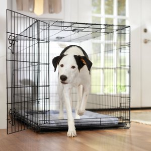 Frisco Fold & Carry Single Door Collapsible Wire Dog Crate & Mat Kit, 48 inch