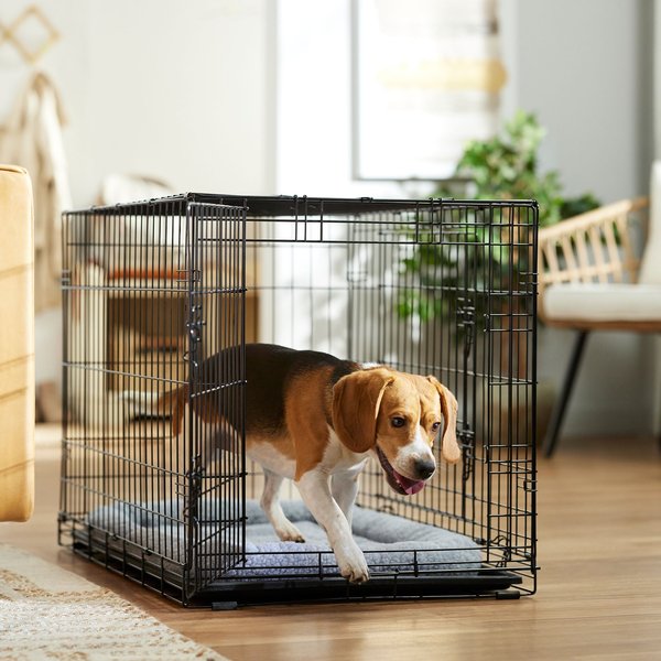 Frisco Fold & Carry Double Door Collapsible Wire Dog Crate & Mat Kit, Med/Large slide 1 of 8