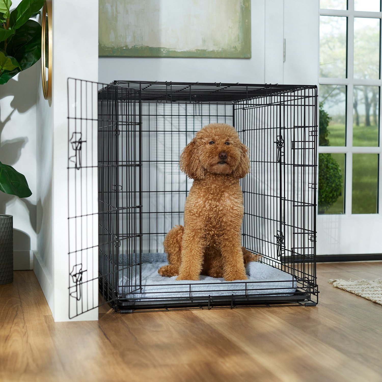 Frisco Fold & Carry Double Door Collapsible Wire Dog Crate & Mat Kit, L 