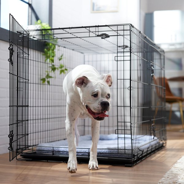 Frisco Fold & Carry Double Door Collapsible Wire Dog Crate & Mat Kit, 48 inch slide 1 of 9