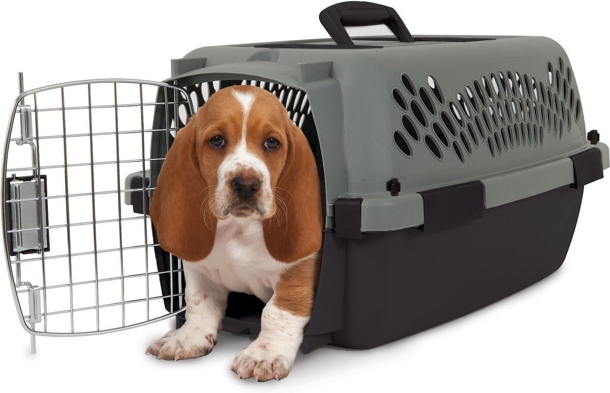 ASPEN PET Dog & Cat Kennel, Gray/Black, 19in